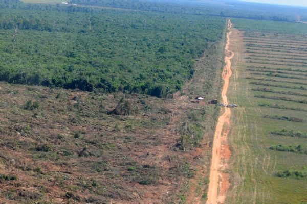 Mato Grosso só perde para o Pará em desmatamento registrado no mês de agosto