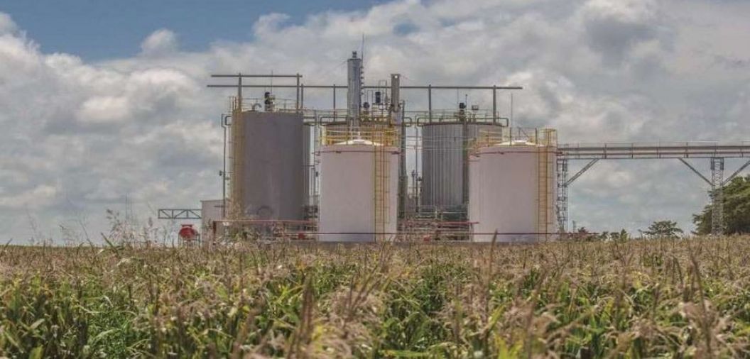 Mato Grosso supera Gois e se consolida como segundo maior produtor nacional de etanol