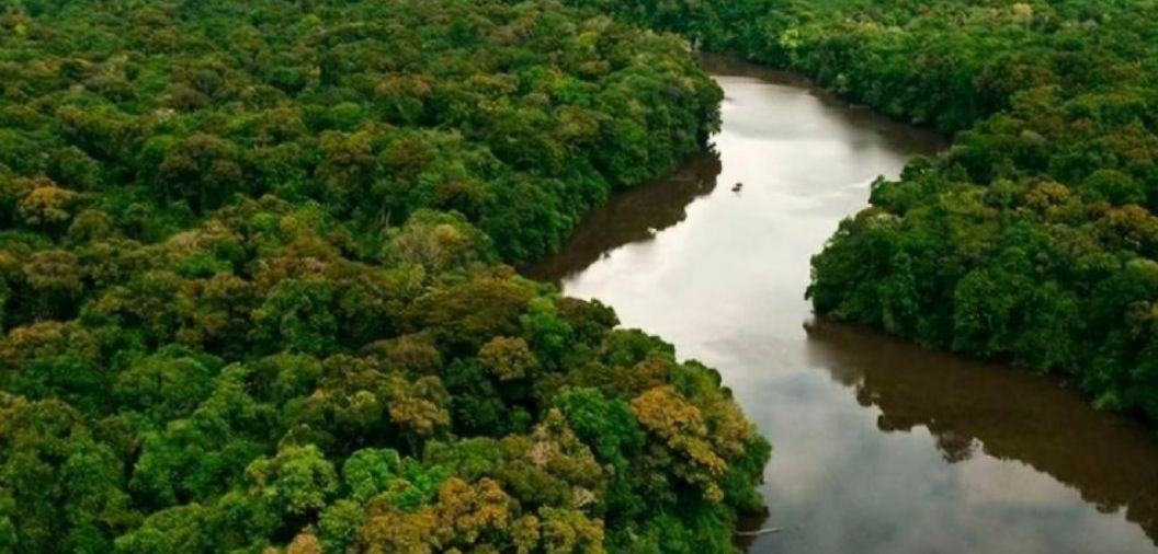 Mato Grosso  referncia em manejo sustentvel e rastreabilidade da madeira nativa