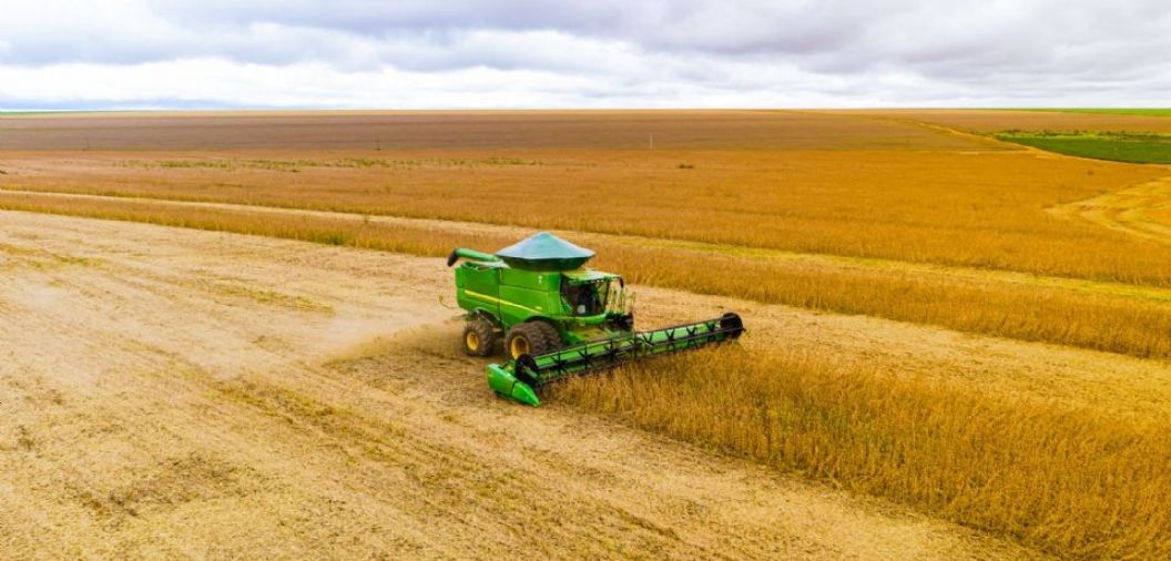 Preo de fertilizantes e corretivos cai e custo de produo para safra 25/26 deve ficar menor