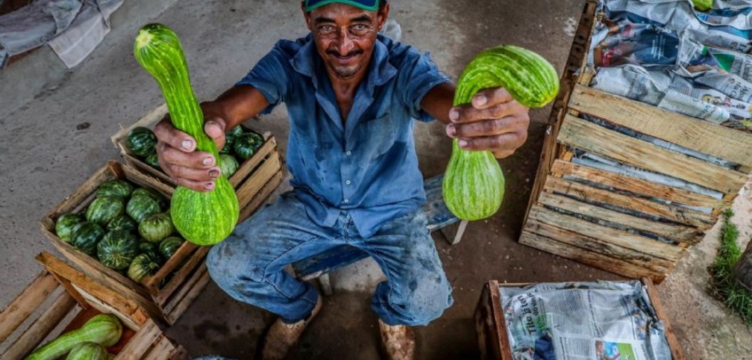 Governo do Estado investe R$ 817 milh�es na agricultura familiar e amplia presen�a t�cnica em MT