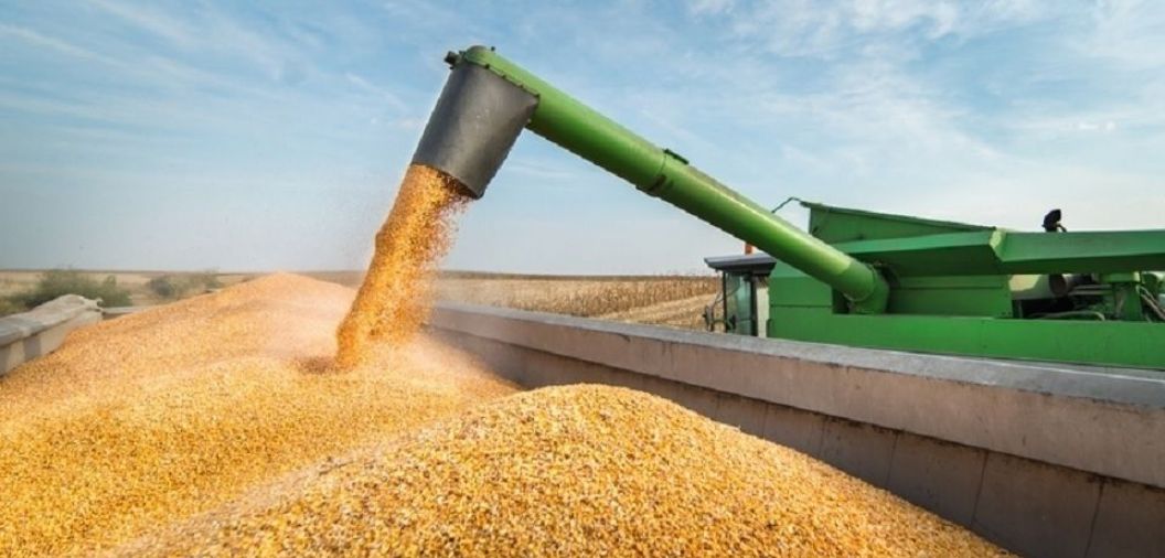 Impulsionado pela soja, MT � segundo estado que mais criou empregos no pa�s; 18,7 mil postos