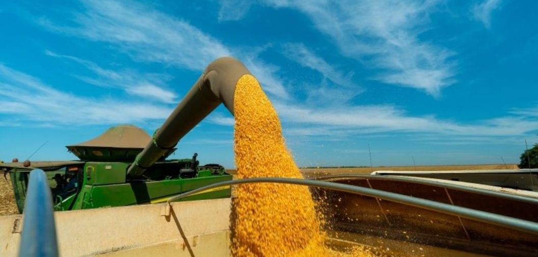 Lucas do Rio Verde estabelece modelo de produ��o agr�cola iniciado nos anos 2000 com milho como pilar