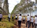 Jovens viram como funciona a integrao Lavoura-Pecuria-Floresta na Fazenda Gamada de propriedade de Mrio Wolf Filho, que fica em Nova Cana do Norte