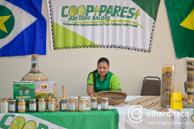 Seminrio da Funai destaca empreendedorismo indgena com agronegcio;   veja fotos e vdeo