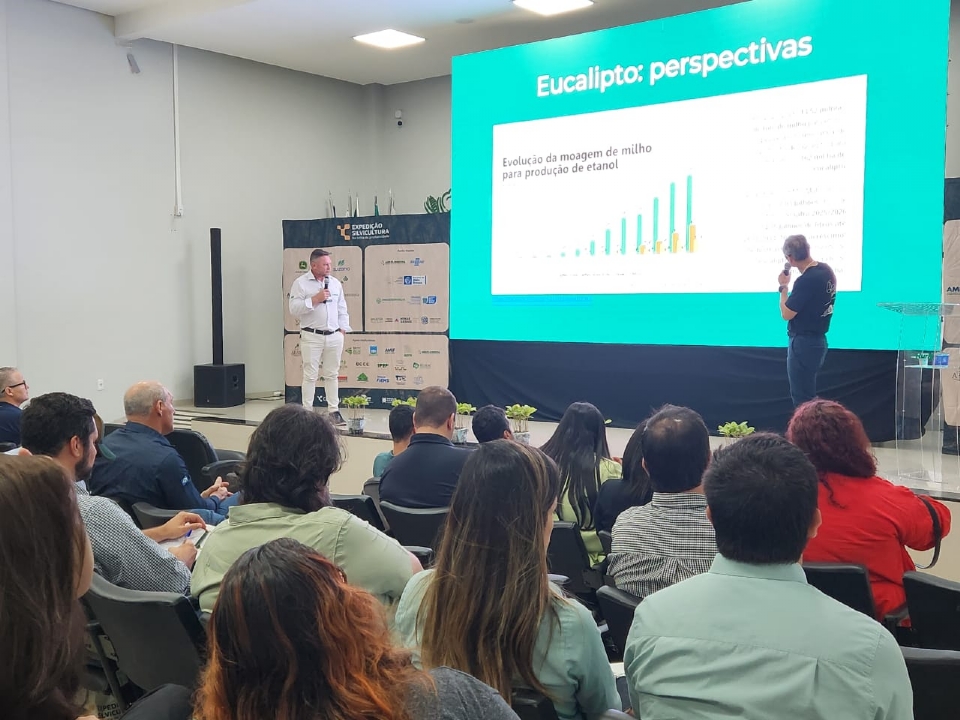 Dficit no mercado de biomassa coloca Mato Grosso em alerta