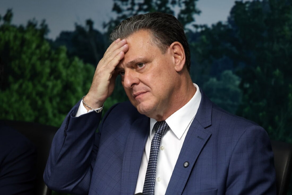 Brasil pode recuperar status de livre da gripe aviria em 28 dias, diz ministro