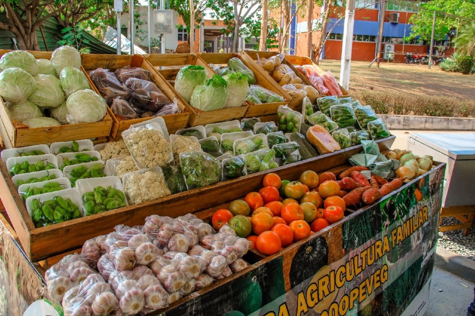 Pátio da Unic recebe 1ª Feira da Agricultura Familiar com frutas, verduras, queijos e artesanato