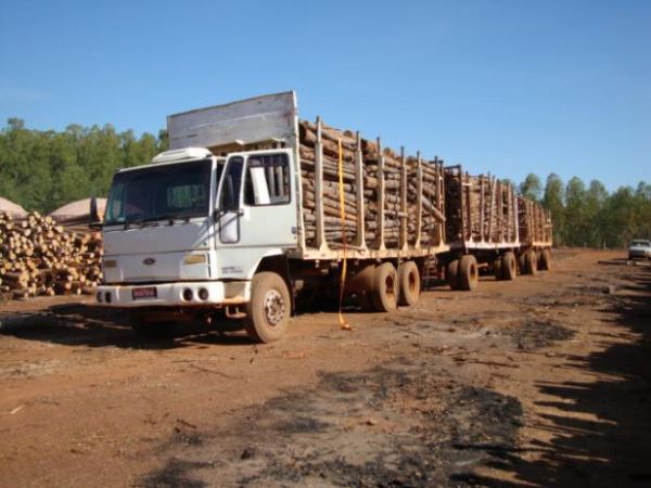 Sema e setor decidem por transporte de madeira sob nova rotina operacional