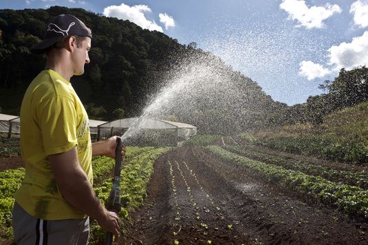 Projetos em Agroecologia e Sistemas Orgnicos tero aporte de R$ 30 milhes