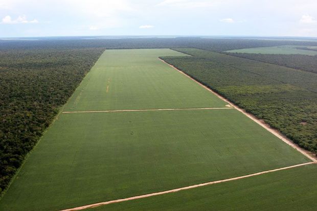 Mato Grosso tem 70% do territrio composto por reas privadas e apenas 19% de reas protegidas