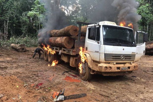 Caminhes com toras que foram apreendidos e destrudos em terra indgena pelo Ibama