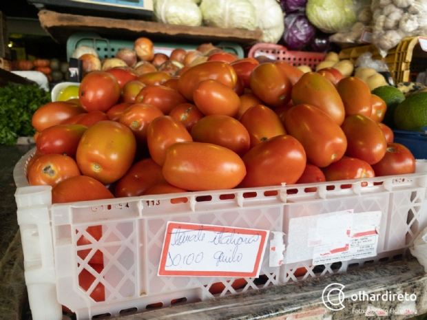 Quilo do tomate chega a custar R$ 10 em Cuiab; inflao nas hortalias sobe