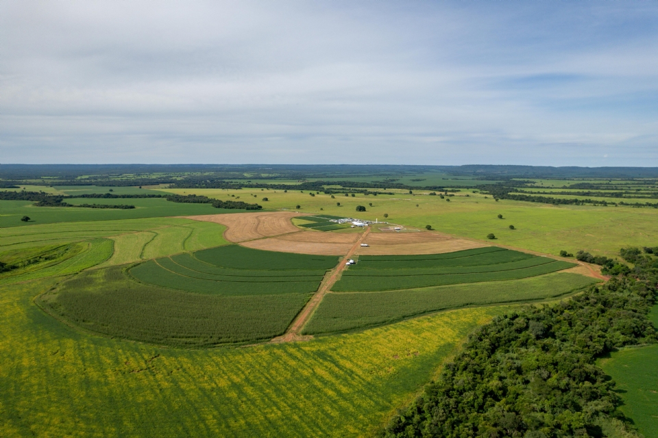 CTECNO Araguaia apresenta safra 2024/25 e aponta alternativas para solos siltosos