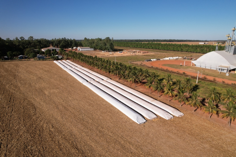 Falta de armazenagem para produtores de Mato Grosso segue como desafio estratgico