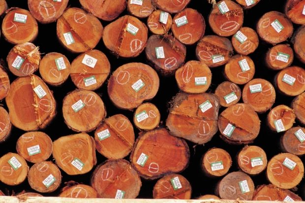WWF Brasil se alia a indstrias produtoras de madeira para evitar desmatamento em MT