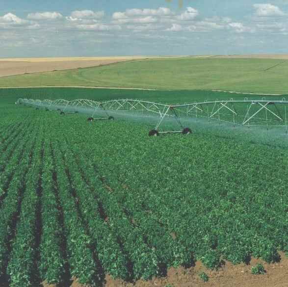 Objetivo  ampliar a rea irrigada e aumentar a produtividade