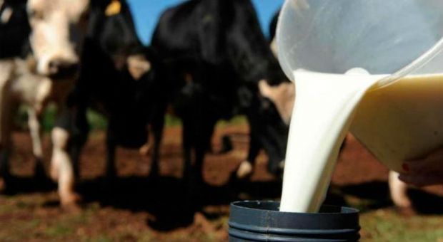 Maggi suspende importao de leite do Uruguai e garante envio de equipe tcnica ao pas para inspeo