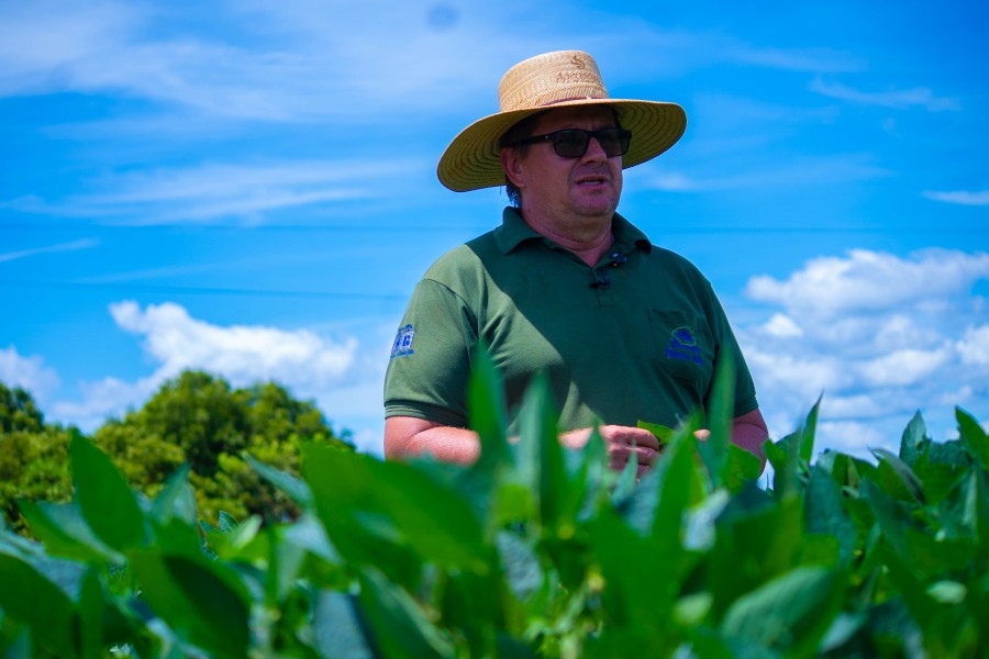 Produtores relatam preocupao com a colheita de soja na regio Leste de Mato Grosso
