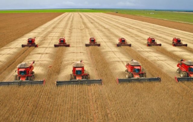 Pesquisador afirma que estaes chuvosas ficaram mais curtas: queimadas e desmatamento so agrosuicdio