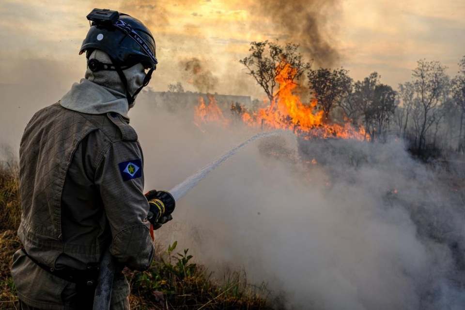 reas produtivas de MT possuem menor ndice de focos de calor por 100 km, aponta relatrio