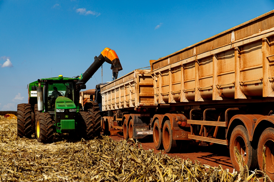 Colheita da 2 safra de milho encerra com recorde de produo em Mato Grosso