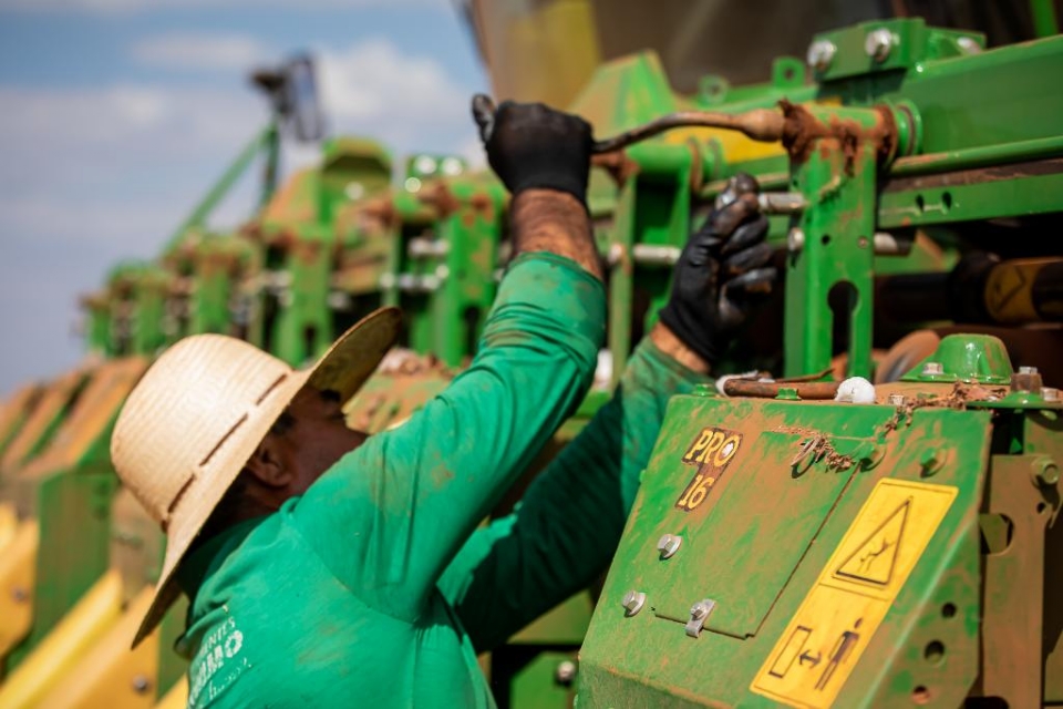 Mato Grosso amplia saldo de empregos formais em 25% e cria 31,7 mil vagas em 2025