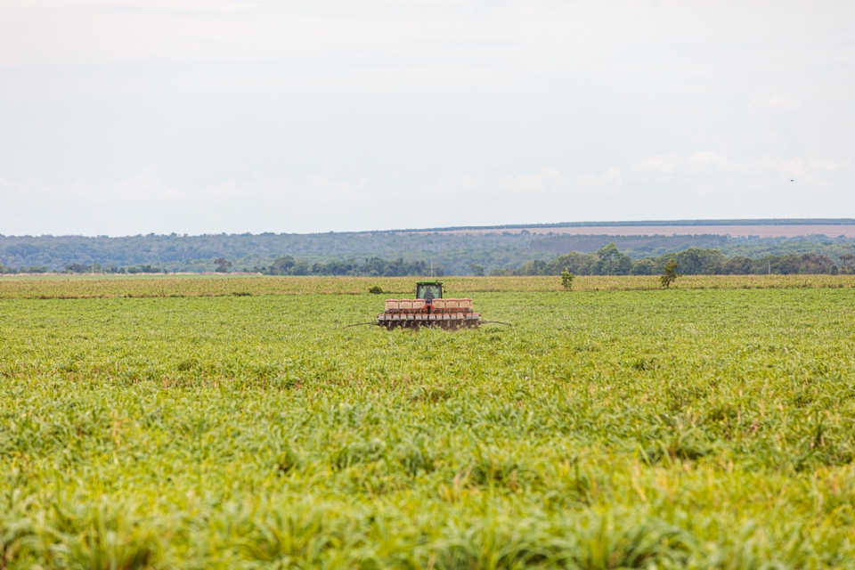 Ap�s sete anos, Ibama destrava licen�a e autoriza plantio em �reas ind�genas de MT