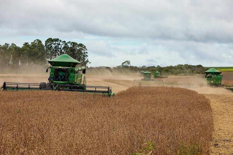 Mesmo com ajustes na safra, MT mant�m lideran�a nacional e deve colher cerca de 107,9 milh�es de toneladas