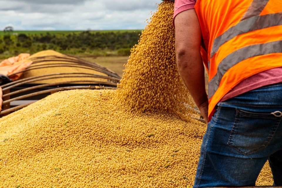 Mato Grosso deve produzir 64 milhes de toneladas de soja em 10 anos, aponta estudo