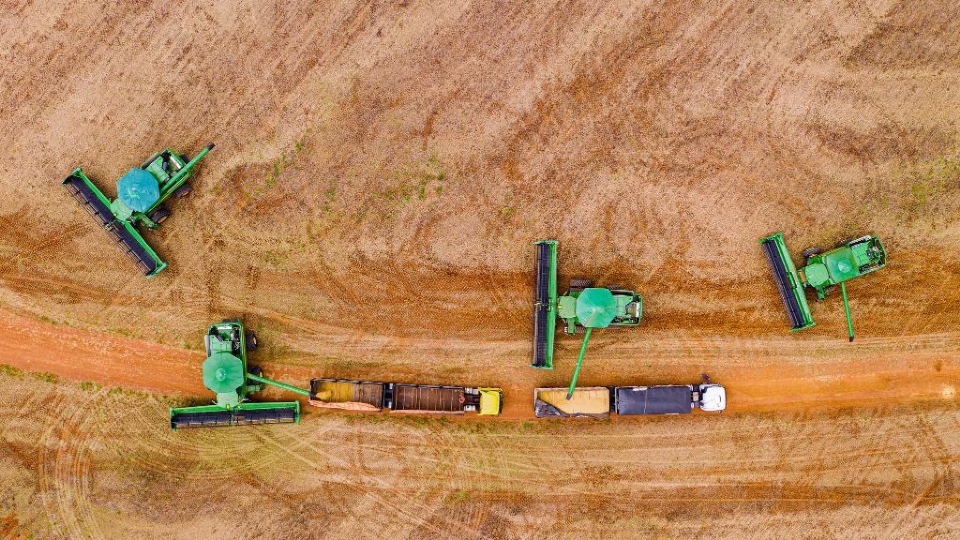 Sefaz fixa limite de 3,5 milh�es de toneladas para incentivo fiscal da soja em 2026