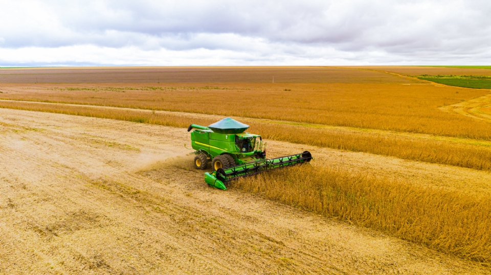 Agro dos EUA v Brasil como 'vitorioso' de guerra comercial entre Trump e Xi Jinping, diz reportagem