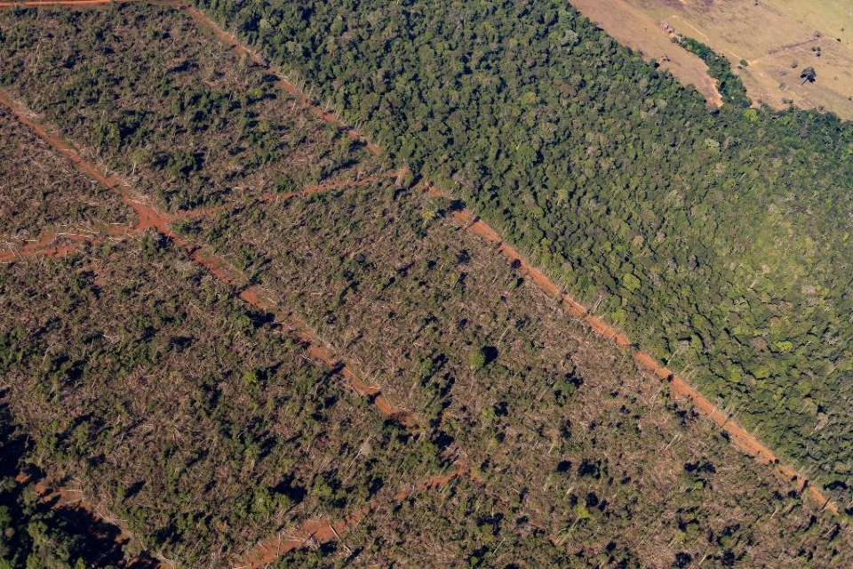 Sema embarga 1,86 milho de hectares por crimes ambientais de 2019 a 2024