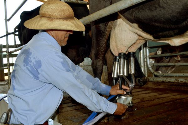 Cerca de tr�s mil vagas de cursos qualifica��o voltadas para o campo ir�o ser implantados em MT