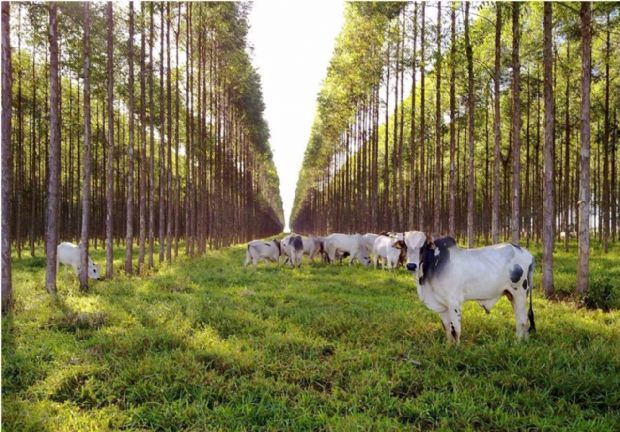 Tecnologia e Inovao no Agronegcio  o tema da 10 etapa da RedeAgro, na Expoagro