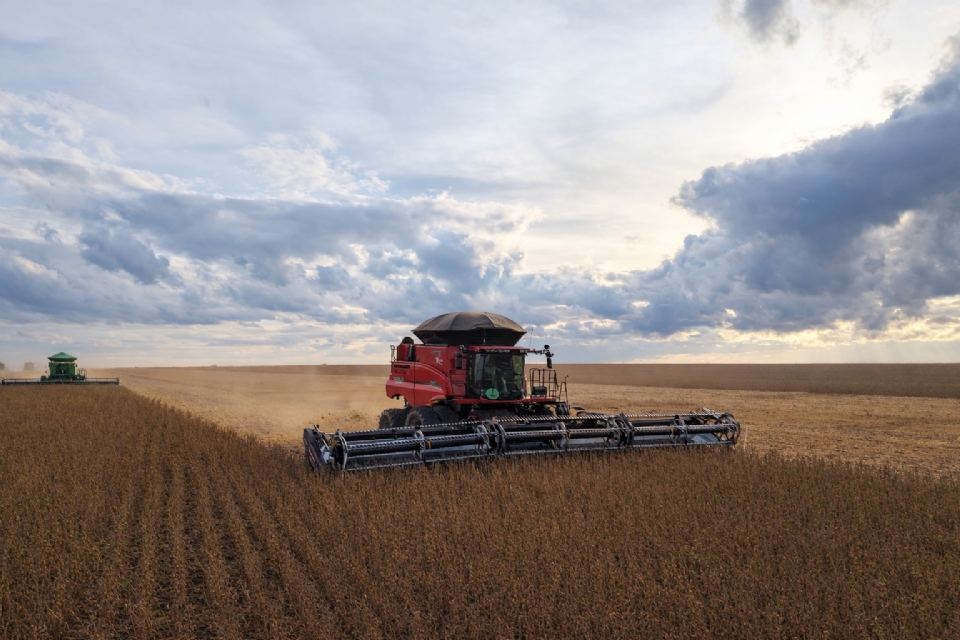 Volume elevado de chuvas preocupa produtores e afeta colheitas em MT
