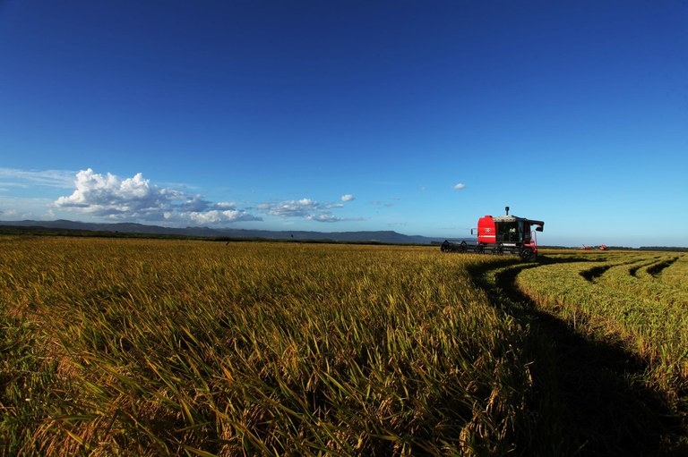 Valor Bruto da Produo Agropecuria  estimado em R$ 1,179 trilho para 2023