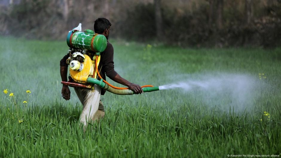 Pesquisadores apontam epidemia de cncer infantil-juvenil em MT e glifosato em leite materno: 