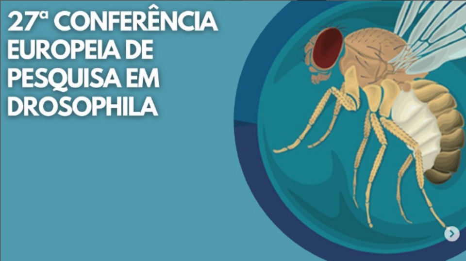 Estudantes e pesquisadores da UFMT so aprovados para participar de conferncia na Frana