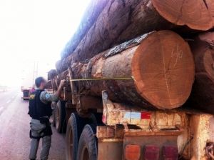Mais de 4 mil m de madeiras irregular foram aprendidos nos ltimos meses em Mato Grosso