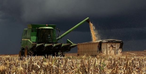 La Nia deixa produtor mato-grossense em alerta para  possibilidade de chuva durante plantio de gros