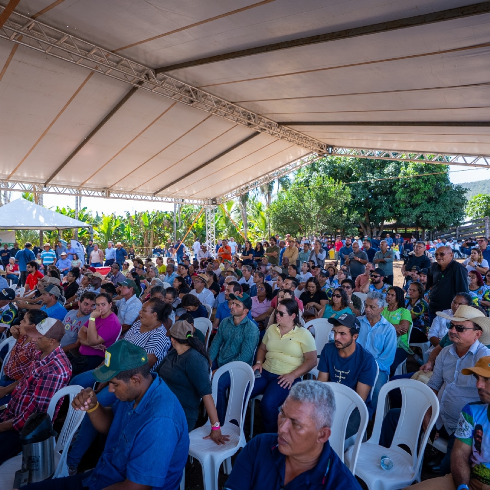 Projeto Rota da Banana  lanado com apoio da Aprofir-MT