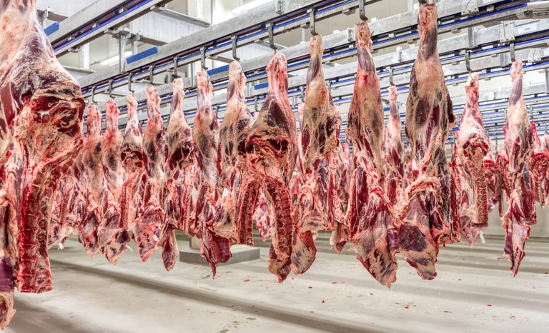 Seis frigorficos de MT so habilitados para vender carne  China