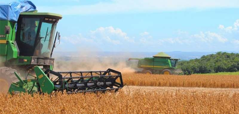 Com Sorriso na liderana, Mato Grosso tem 35 dos 100 municpios mais ricos do Agro;  veja lista  