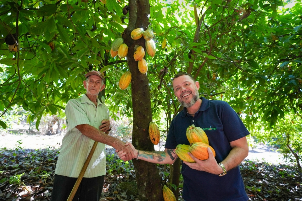 'Rei do Cacau' de Cuiab inspira implantao de um campo experimental de irrigao para o cultivo da fruta