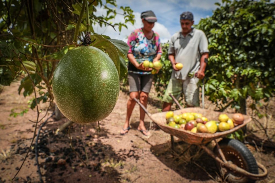 Governo lan�a programa de US$ 100 milh�es para impulsionar agricultura familiar em Mato Grosso