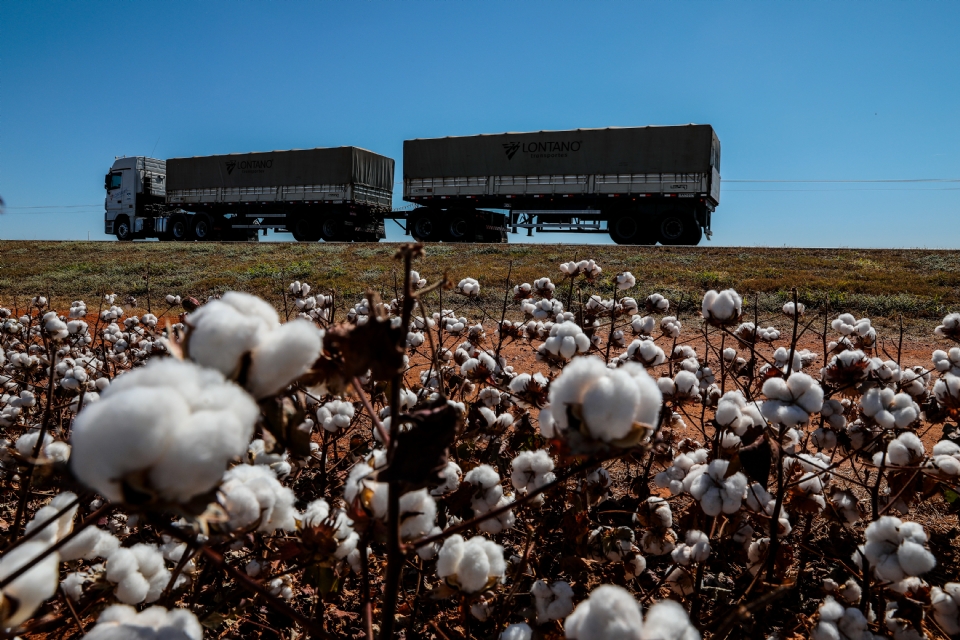 Exportaes de MT alcanam 157 pases e geram US$ 25,95 bilhes em 2024