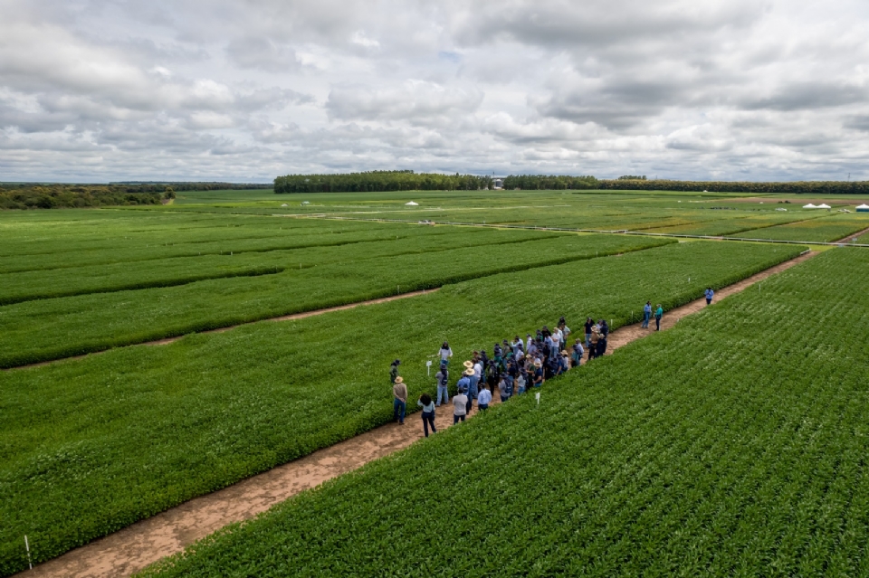 Aprosoja MT realiza visitas t�cnicas no CTECNO Parecis e Araguaia e promove Giro de Pesquisa no Vale do Guapor�
