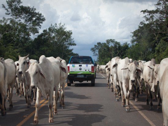 Demandas levantadas no Acrimat em Ao sero encaminhadas ao Governo de Mato Grosso