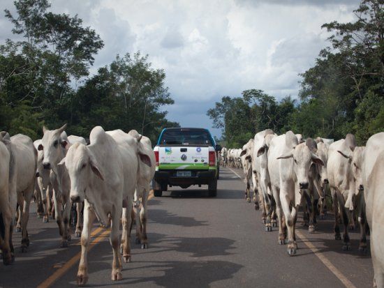 Demandas levantadas no Acrimat em Ao sero encaminhadas ao Governo de Mato Grosso